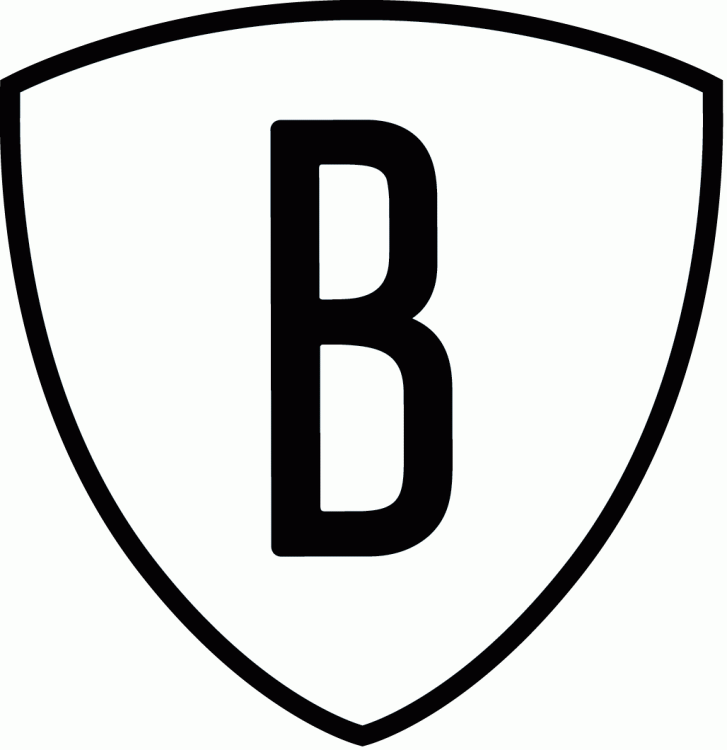 Brooklyn Nets 2012 13-2013 14 Alternate Logo 1 iron on paper